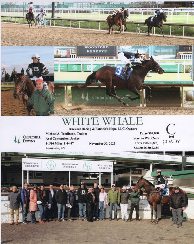 Winner's circle photo: White Whale, Churchill Downs, November 30, 2025